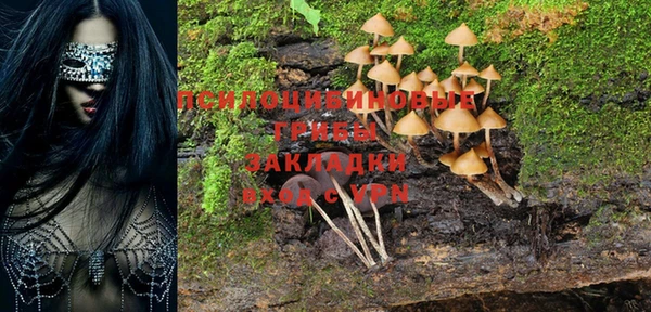 синтетический гашиш Алексин