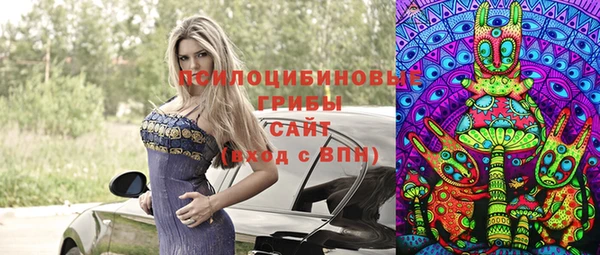 синтетический гашиш Алексин