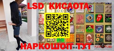 прущие крисы Бердск