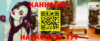 прущие крисы Бердск