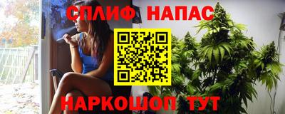 прущие крисы Бердск