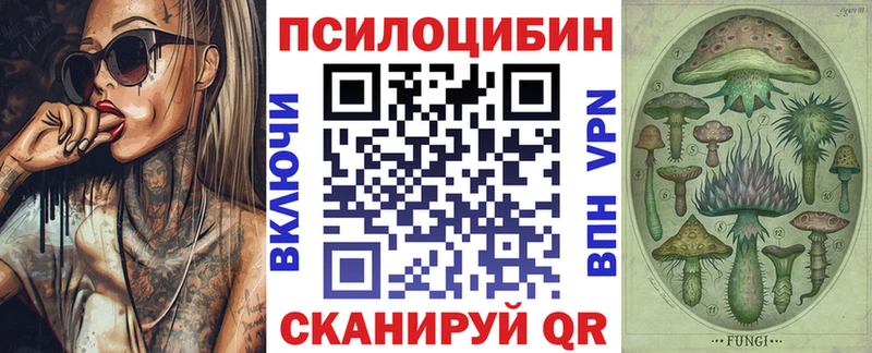 Псилоцибиновые грибы мухоморы  где можно купить наркотик  Большой Камень 