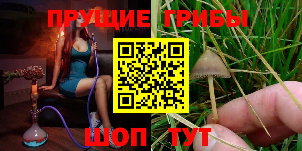 Псилоцибиновые грибы прущие грибы  Вход с VPN  Псилоцибиновые грибы Psilocybine cubensis  наркошоп  Большой Камень 